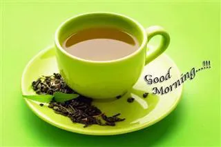 Good Morning Wishes Greeting Cards 6746
