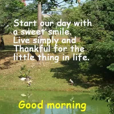 Good Morning Wishes Greeting Cards 7284