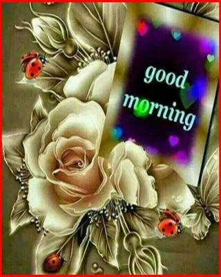 Good Morning Wishes Greeting Cards 6736