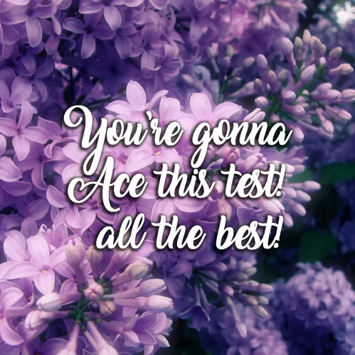 All The Best Greetings Greeting Cards 44615