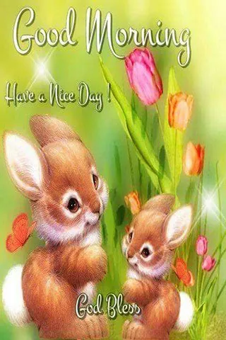Good Morning Wishes Greeting Cards 25580