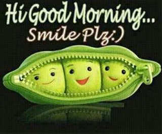 Good Morning Wishes Greeting Cards 6682