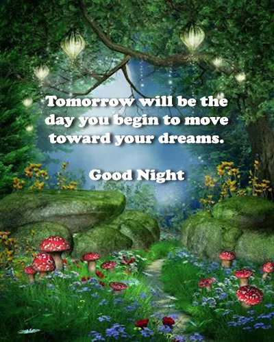 Good Night Greetings Greeting Cards 26024