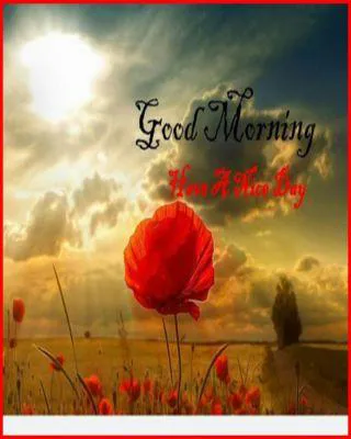 Good Morning Wishes Greeting Cards 6759