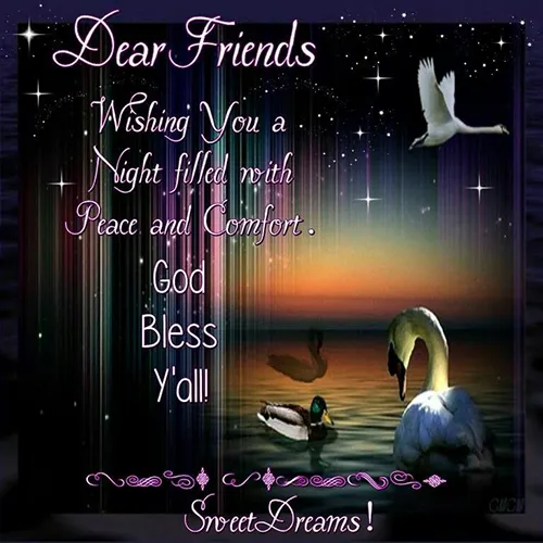 Good Night Greetings Greeting Cards 25827