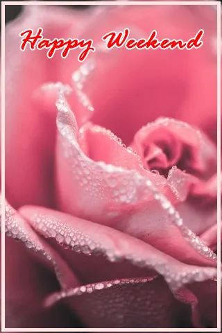 Weekend Greetings Greeting Cards 50738