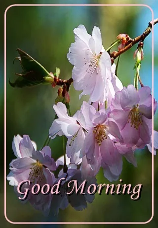 Saturday Greetings Greeting Cards 15305