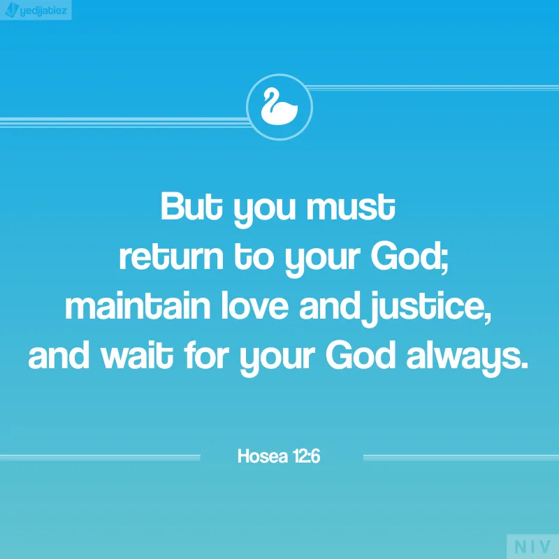 Bible Verses Greetings Greeting Cards 22540