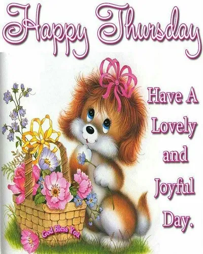 Everyday Greetings Greeting Cards 24993