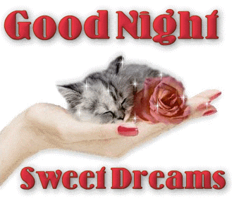 Good Night Greetings Greeting Cards 9230