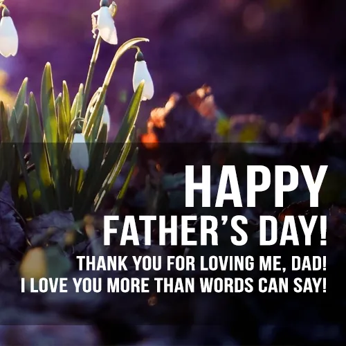 Fathers Day Greeting Cards 47462