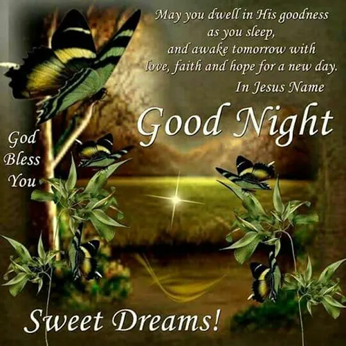 Good Night Greetings Greeting Cards 25843