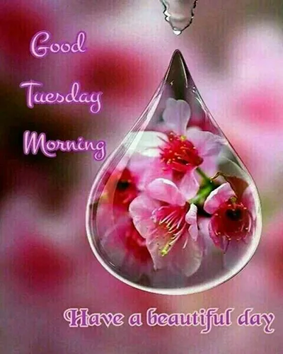 Everyday Greetings Greeting Cards 24573