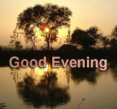 Good Evening Greetings Greeting Cards 8723