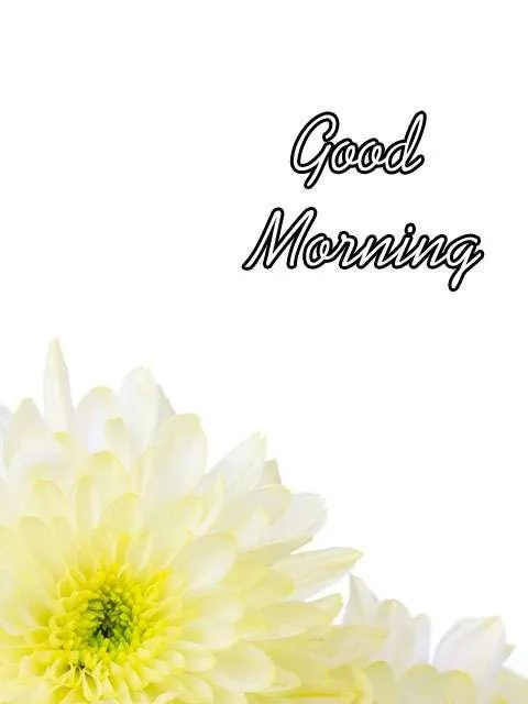 Good Morning Wishes Greeting Cards 7155