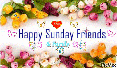 Sunday Greetings Greeting Cards 10447
