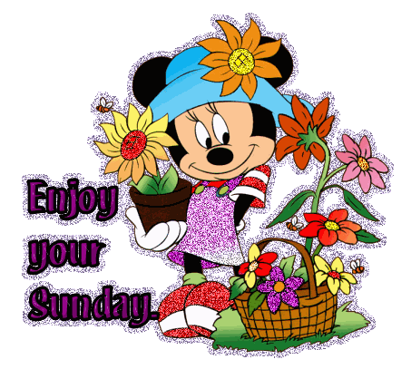 Sunday Greetings Greeting Cards 10415