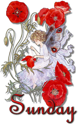 Sunday Greetings Greeting Cards 10414