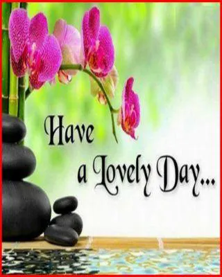 Good Morning Wishes Greeting Cards 6629