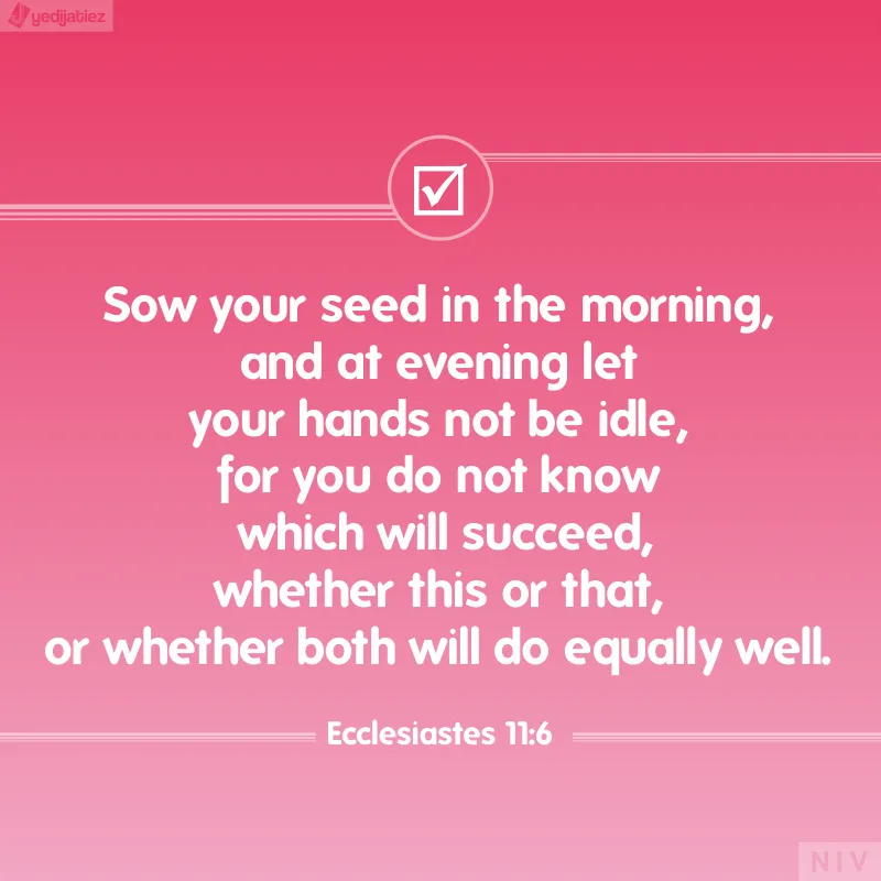 Bible Verses Greetings Greeting Cards 22514