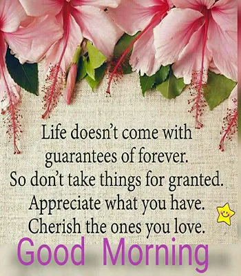 Good Morning Wishes Greeting Cards 25544