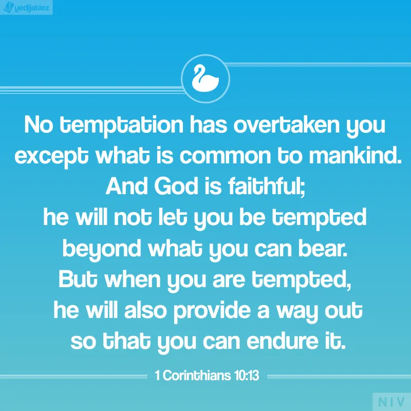 Bible Verses Greetings Greeting Cards 22582