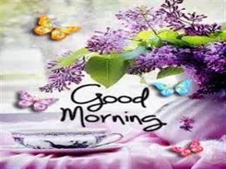 Good Morning Wishes Greeting Cards 6714