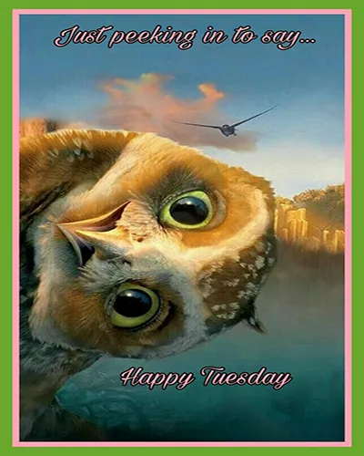 Everyday Greetings Greeting Cards 24583