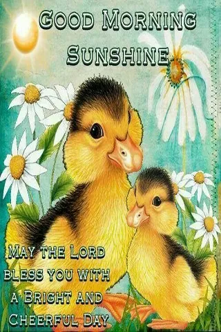 Good Morning Wishes Greeting Cards 25628
