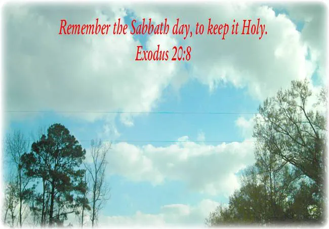 Shabbat Shalom Greeting Cards 50993
