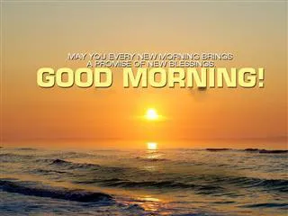 Good Morning Wishes Greeting Cards 6773