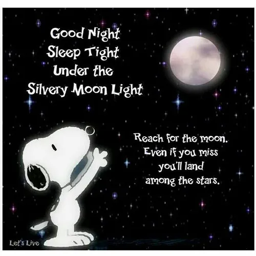 Good Night Greetings Greeting Cards 25798