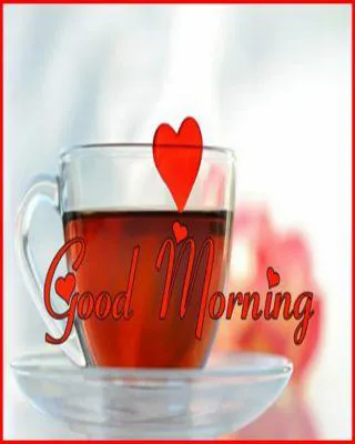 Good Morning Wishes Greeting Cards 6683