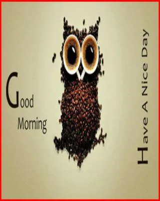 Good Morning Wishes Greeting Cards 6684