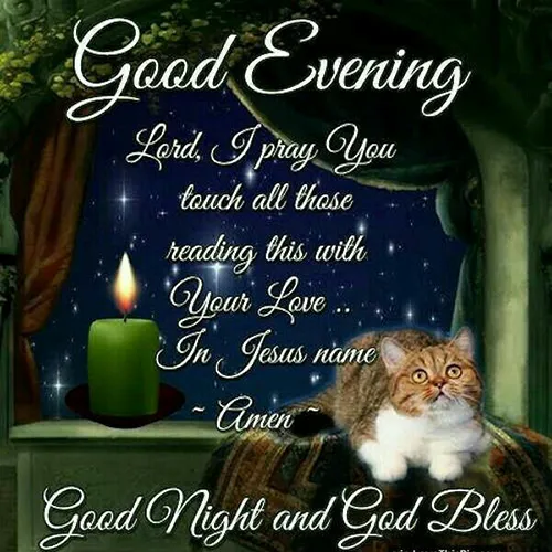Good Night Greetings Greeting Cards 25828