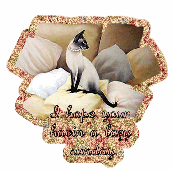 Sunday Greetings Greeting Cards 10217