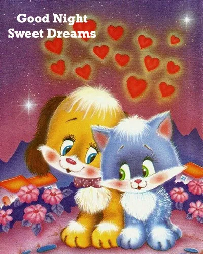 Good Night Greetings Greeting Cards 26020