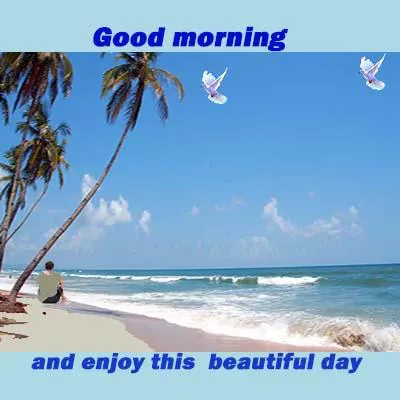 Good Morning Wishes Greeting Cards 7260