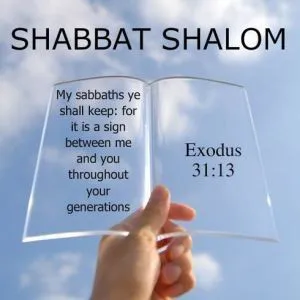 Shabbat Shalom Greeting Cards 51657