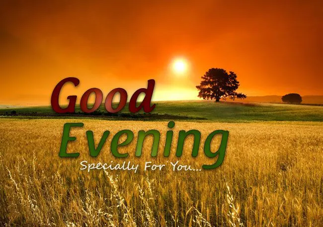 Good Evening Greetings Greeting Cards 9011