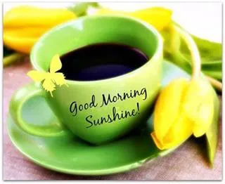 Good Morning Wishes Greeting Cards 6615