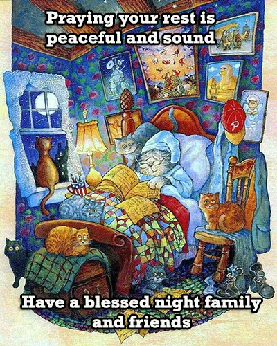 Good Night Greetings Greeting Cards 26040