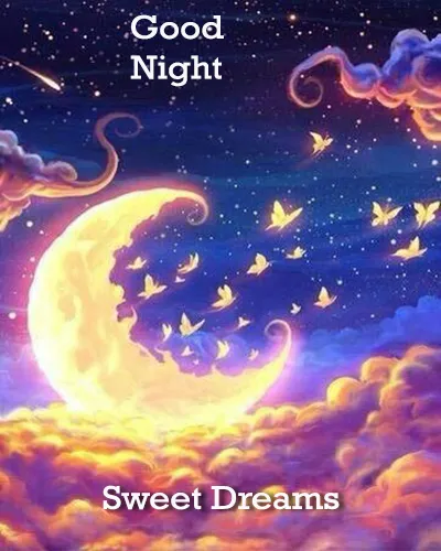 Good Night Greetings Greeting Cards 25980