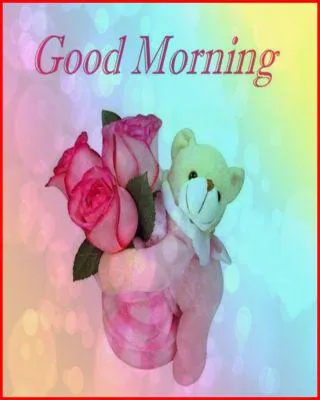 Good Morning Wishes Greeting Cards 6628