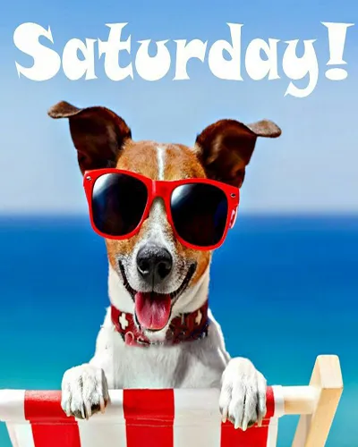 Everyday Greetings Greeting Cards 25369