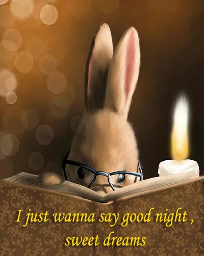Good Night Greetings Greeting Cards 25967