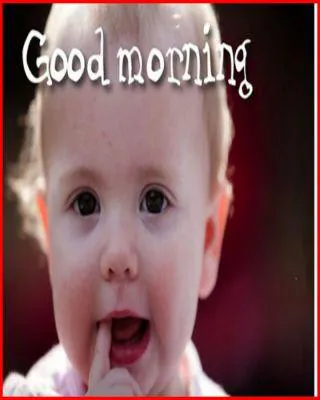 Good Morning Wishes Greeting Cards 6718