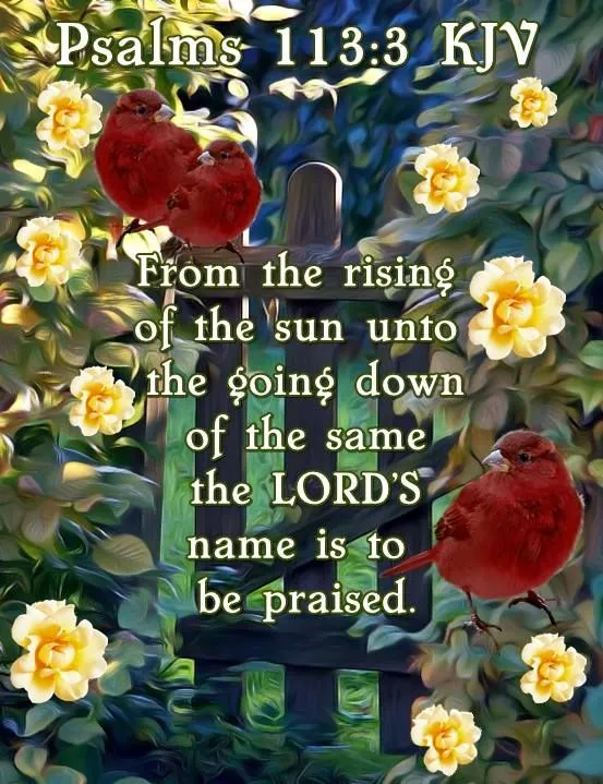 Bible Verses Greetings Greeting Cards 18863