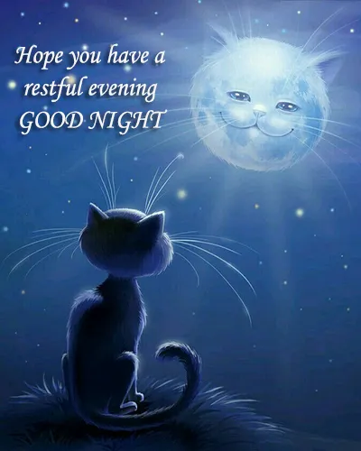 Good Night Greetings Greeting Cards 25992