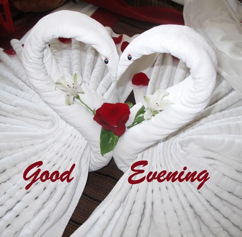 Good Evening Greetings Greeting Cards 8945